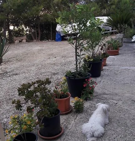 Bed & Breakfast Baglio Ferlito 3*