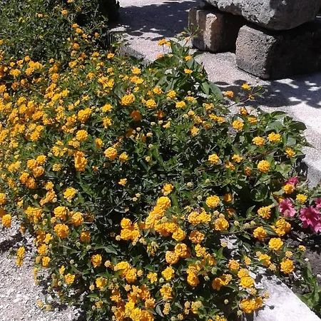Bed & Breakfast Baglio Ferlito 3*